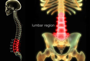 lumbar-spine